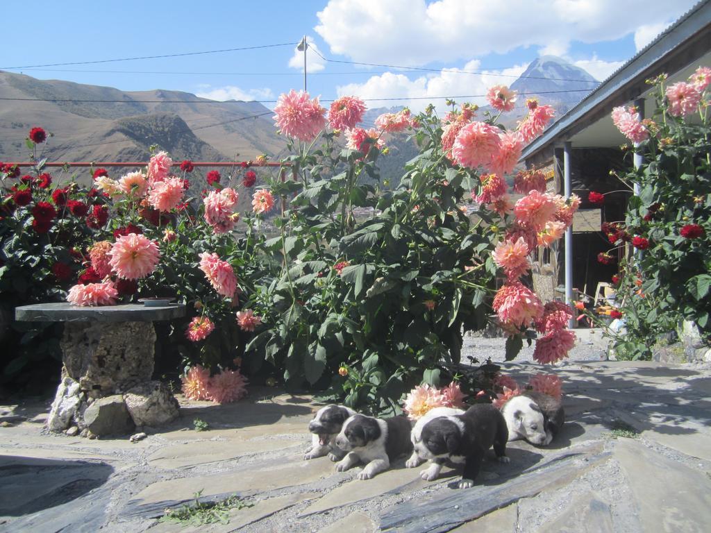 Qusha Guesthouse Meeting In The Mountains And Views Kazbegi Zimmer foto
