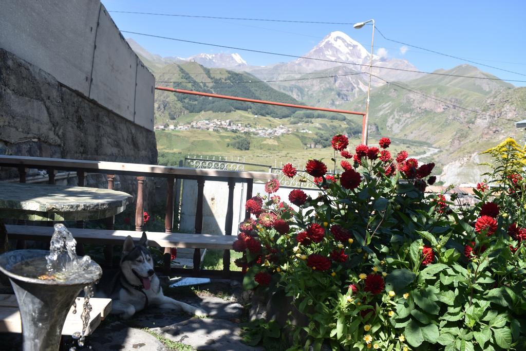 Qusha Guesthouse Meeting In The Mountains And Views Kazbegi Exterior foto