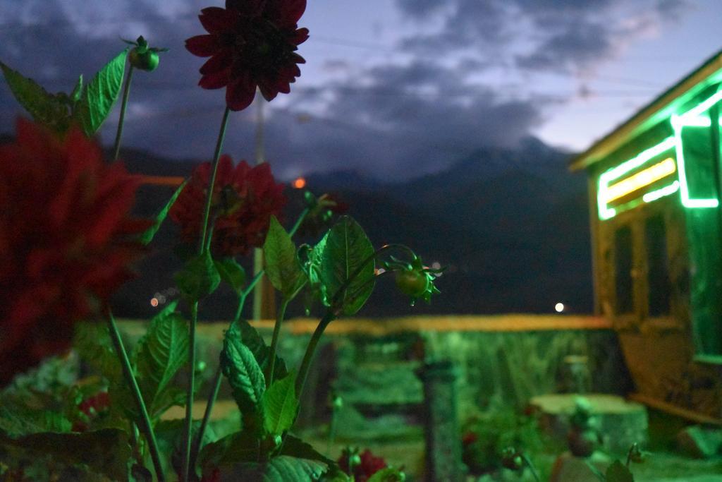 Qusha Guesthouse Meeting In The Mountains And Views Kazbegi Exterior foto